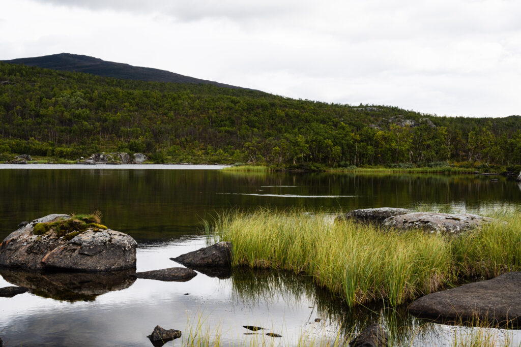 Abisko nationalpark, Abeskojavri