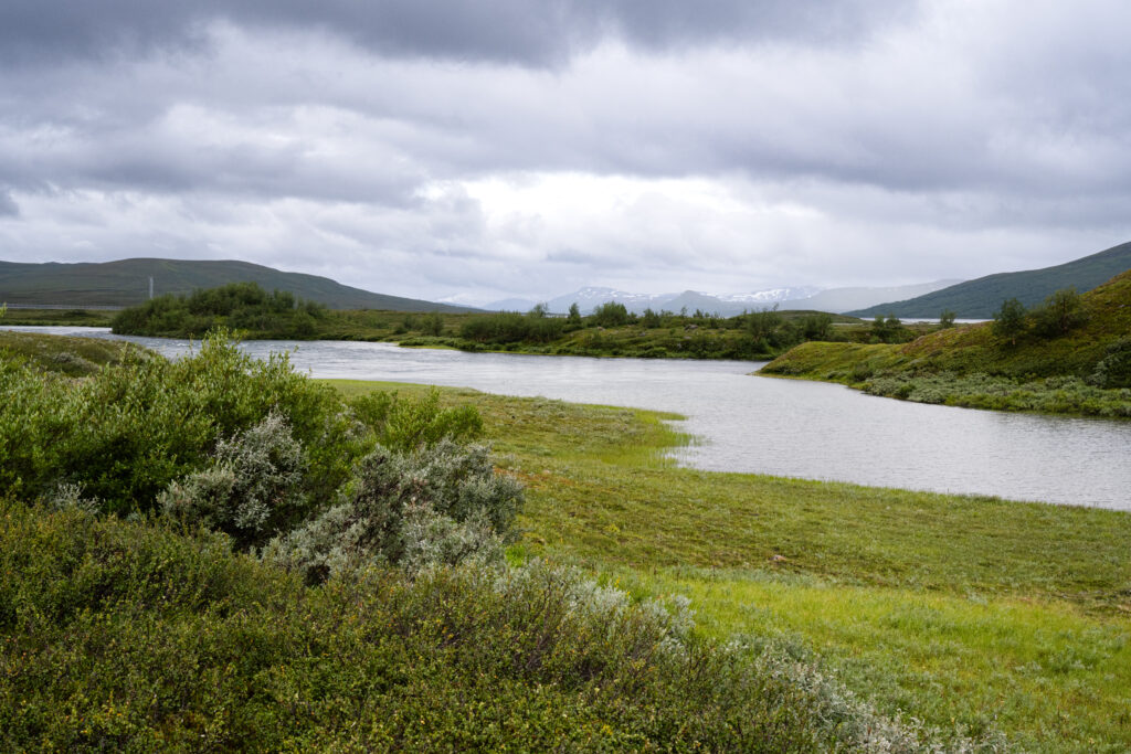 Padjelantavandring i regn. 